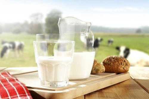 Sự thật về việc uống sữa vào buổi tối trước khi đi ngủ