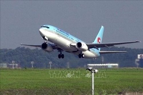 Hãng hàng không lớn nhất Hàn Quốc nối lại đường bay tới Osaka, Nhật Bản