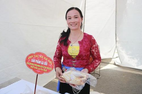 Gây dựng thương hiệu gà đồi bằng cách nuôi thả tự nhiên và cho ăn thảo dược