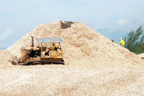 Ngành dăm gỗ: Mất cân đối giữa các vùng nguyên liệu rừng trồng và năng lực chế biến sâu