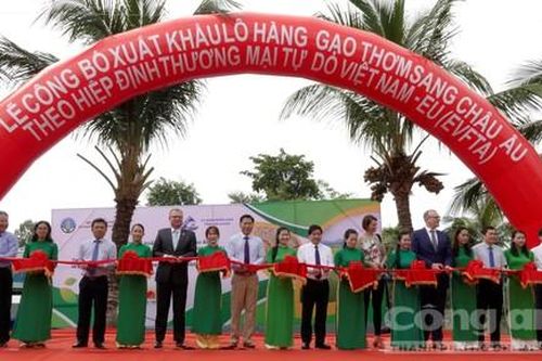 An Giang xuất 126 tấn gạo thơm sang châu Âu sau khi EVFTA có hiệu lực