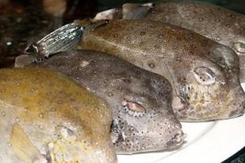 Từ vụ suýt chết vì ăn món cá lạ, chuyên gia chỉ rõ những thực phẩm có rẻ đến mấy cũng không mua về ăn