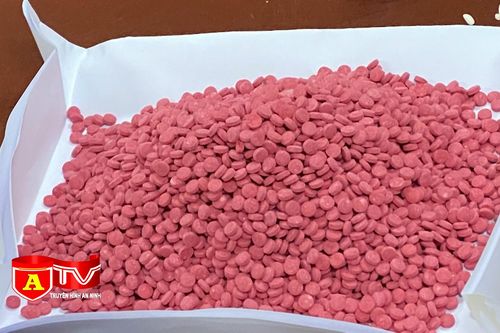 Triệt phá đường dây vận chuyển gần 6.000 viên ma túy tổng hợp từ Điện Biên về Hà Nội