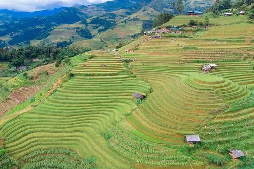 Ngắm nhìn vẻ đẹp hùng vĩ Mù Cang Chải