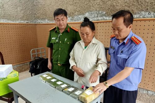 Điện Biên: Phá chuyên án ma túy lớn