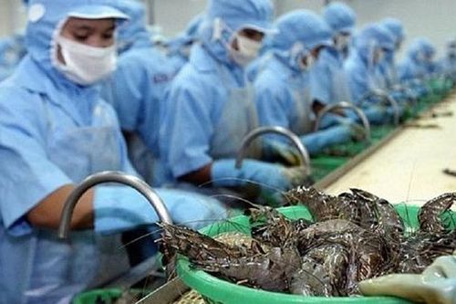 Việt Nam có thể đạt 3,6 tỷ USD xuất khẩu tôm trong năm 2020