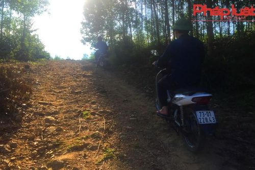 Trang trại bò rộng gần 250ha chỉ nuôi vài con bò, sắp nuôi thử…vài con lợn