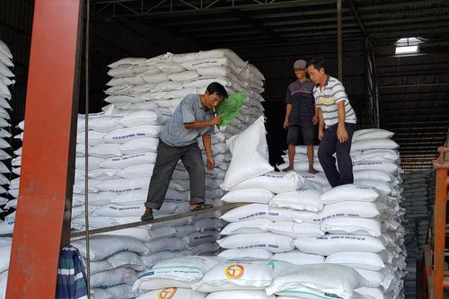 Xuất gạo sang EU: Chuyển biến tích cực nhờ EVFTA