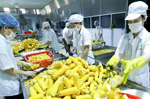 Cơ chế một cửa ASEAN tạo thuận lợi cho xuất nhập khẩu
