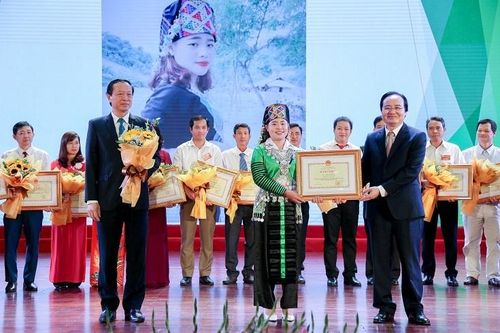 Gần 400 cá nhân, tập thể được vinh danh tại Đại hội thi đua yêu nước ngành giáo dục