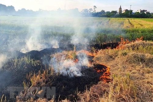 Hà Nội ra chỉ thị kiểm soát đốt rơm rạ để giảm đỉnh ô nhiễm không khí
