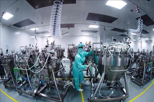 Australia, Mexico tham gia sáng kiến vaccine COVAX