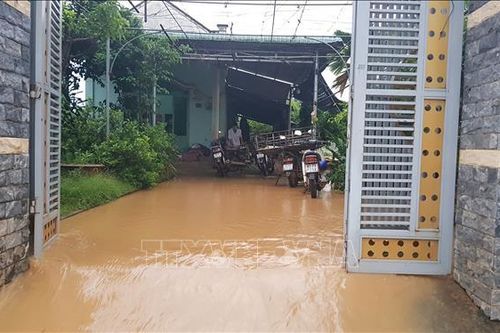 Bình Phước: Nước lũ lên cao, di chuyển 53 hộ dân ở TP Đồng Xoài đến nơi an toàn