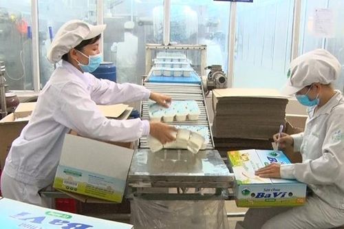 Giữ thị trường trước áp lực từ EVFTA