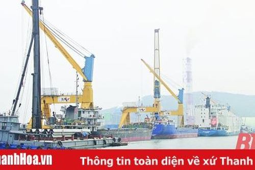 117 doanh nghiệp xuất nhập khẩu hàng hóa qua Cảng Nghi Sơn