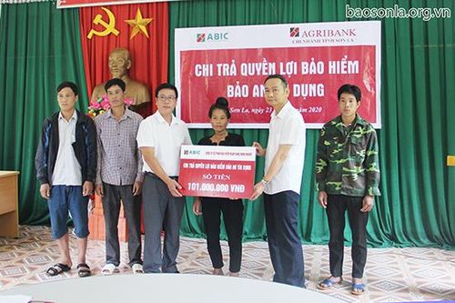 Agribank Chi nhánh tỉnh Sơn La: Chi trả quyền lợi bảo hiểm 'Bảo an tín dụng' tại Mai Sơn