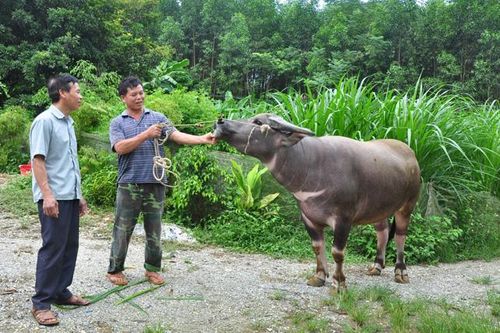 Thêm 'điểm tựa' giúp nông dân tăng thu nhập