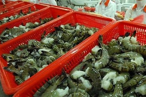 Năm 2020, xuất khẩu tôm dự kiến đạt 3,6 tỷ USD