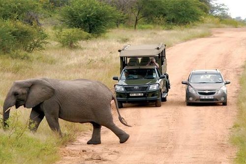 Luật đi bên trái đường ở Kenya