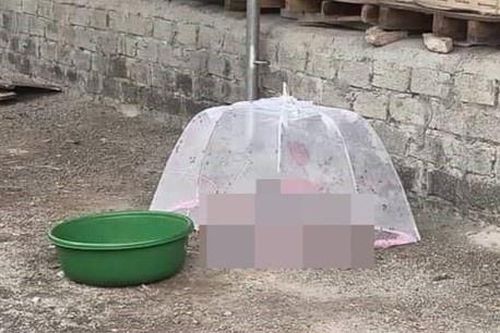 Thi thể bé sơ sinh trong túi nylon