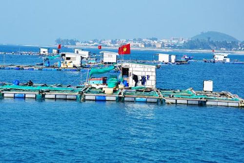Đề xuất quy định thế chấp, chuyển nhượng quyền sử dụng khu vực biển nuôi trồng thủy sản