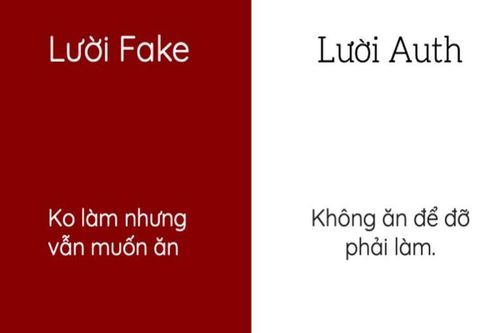 Từ điển 'lười fake', 'lười auth' - Đến hội lười cũng 'thả tim' ầm ầm