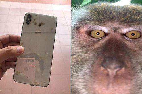 Tá hỏa phát hiện ảnh selfie của 'kẻ trộm' trong iPhone bị đánh cắp