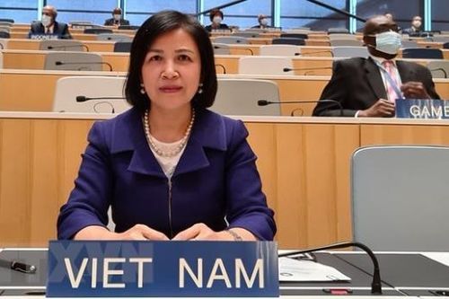 Việt Nam thực hiện có hiệu quả Chiến lược Sở hữu trí tuệ quốc gia