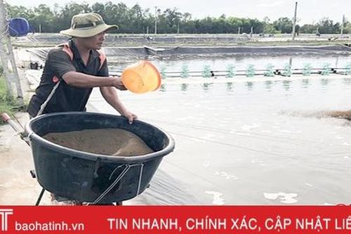 Thời tiết 'đỏng đảnh' người nuôi chủ động phòng ngừa bệnh cho tôm
