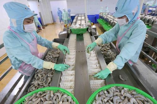 Những hiệu quả tức thời ngay sau khi thực thi Hiệp định EVFTA