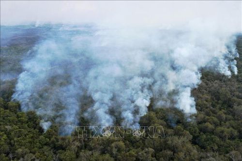 Brazil triển khai lực lượng đối phó hỏa hoạn tại vùng đất ngập nước Pantanal