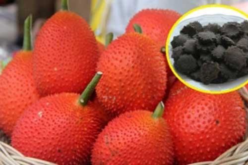 Lợi ích tuyệt vời của hạt gấc, rất nhiều người vẫn bỏ phí