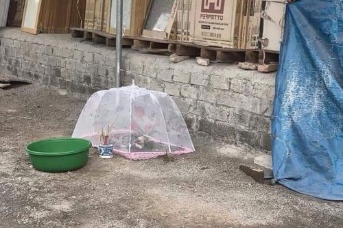 Phát hiện thi thể bé sơ sinh bị buộc trong túi nilon, vứt bỏ thương tâm ngoài đường