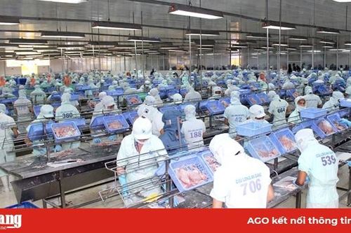 Kim ngạch xuất khẩu tăng 3,54% so cùng kỳ