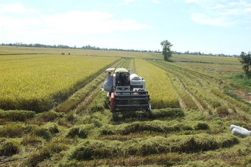Lan tỏa các điển hình tiên tiến từ phong trào thi đua yêu nước