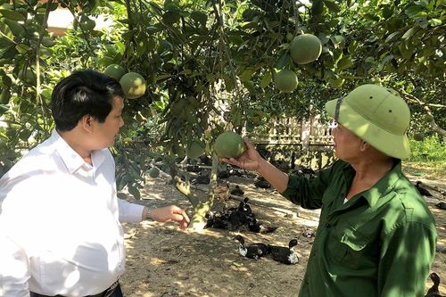 Trao cơ hội, tạo thử thách