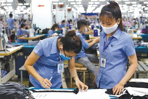 Nhiều doanh nghiệp đã nhập cuộc EVFTA