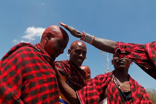 Hàng nghìn gia súc bị giết trong lễ trưởng thành của chiến binh Maasai