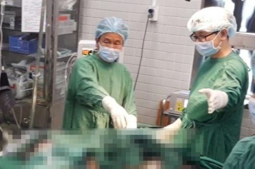 Người đàn ông bị cây đè ở TP.HCM đã tử vong