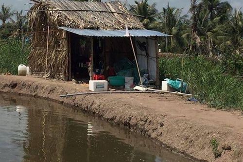 Ba thi thể và lá thư tuyệt mệnh trong chòi nuôi tôm