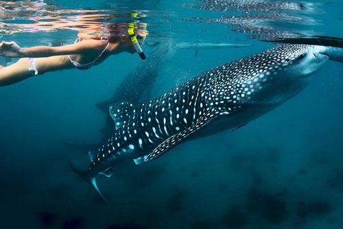 Hòn đảo nổi tiếng hút khách đến Philippines