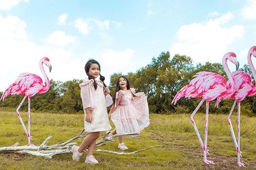 Đạo diễn Nguyễn Hưng Phúc: Tổ chức Pink Garden Show cho thiếu nhi dịp Trung thu