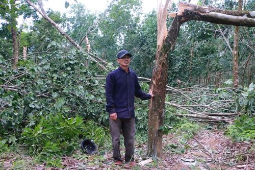 'Vàng trắng' tan theo bão, dân nghèo khóc ròng