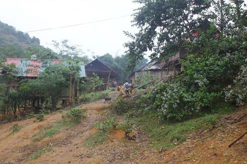 Nghệ An: Bắt nghi phạm sát hại hai mẹ con khiến một người chết, một người bị thương nặng