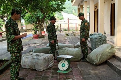 Thu giữ 423kg nguyên liệu thuốc bắc nhập lậu