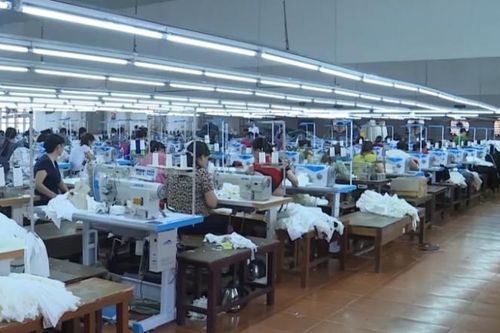 Thanh Hóa: Trong 5 năm, đã có 24.500 doanh nghiệp thành lập mới