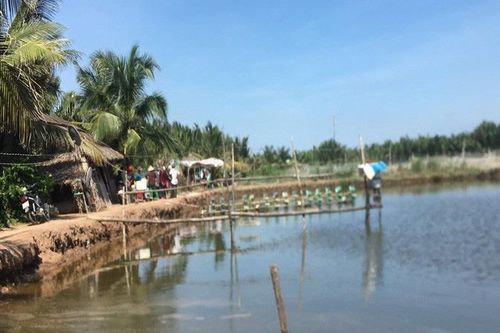 3 người chết bất thường trong chòi canh tôm