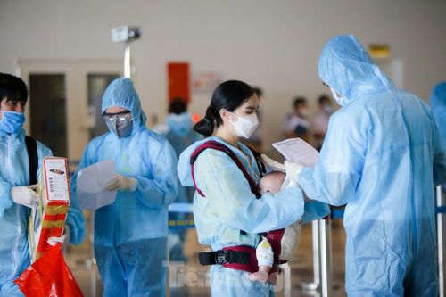 Chuyến bay quốc tế thường lệ được khôi phục như thế nào?