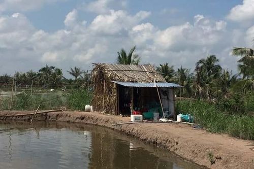 Ba người chết trong chòi tôm để lại hai lá thư tuyệt mệnh