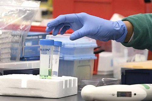 Đột biến mới khiến virus nCoV trở nên lây lan nhanh